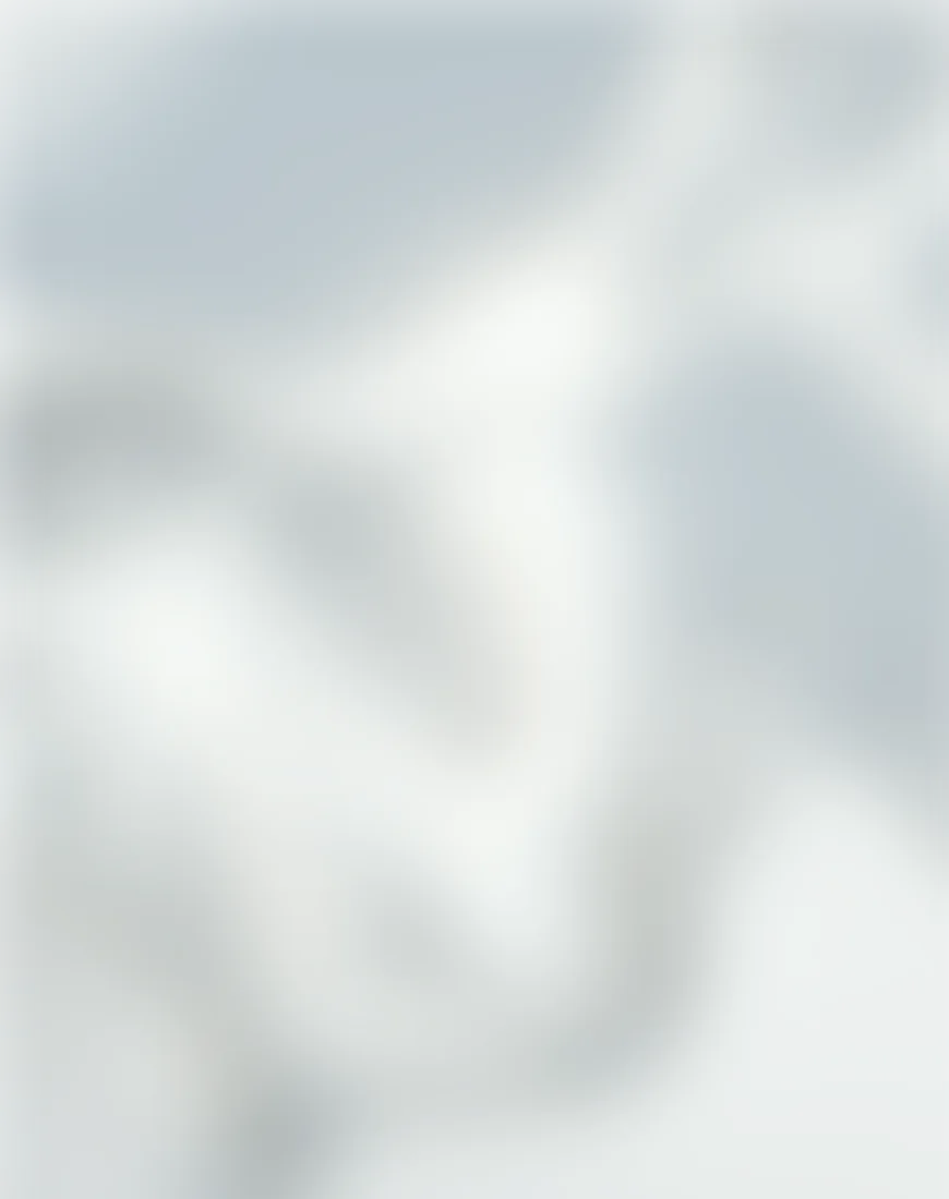 Orbit network field: product screen